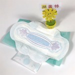 Sanitary Pads Manufacturer - OEM Biodegradable Breathable Menstrual Pads