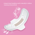 Maternity Pads Factory - OEM Disposable Underwear Pads Free Sample