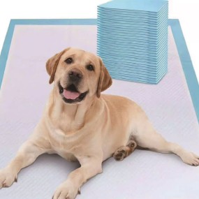 宠物纸尿裤生产厂家 - 可定制高吸收狗狗纸尿裤