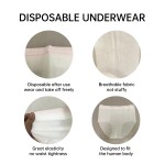 Disposable Underwear Factory - OEM Organic Cotton Period Briefs