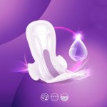 Sanitary Napkins Factory - OEM Anion Cotton Feminine Hygiene Pads