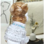 宠物训练垫生产厂家 - 可定制环保可降解训练垫