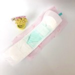 Sanitary Napkins Factory - OEM Anion Women Daily Pads Wholesale