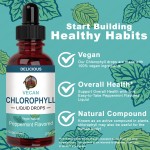 OEM Private Label Organic Lymphatic Cleanse Liquid Drops Adult Applicable Plant Extract with Custom Label