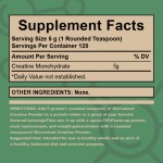 Premium Creatine Monohydrate Muscle Growth Powder Quick-Absorption Post-Workout Supplement for Adults Strength-Building for Men