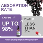 OEM/ODM Wholesale Elderberry Drops Customizable Labels Herbal Extract in Bottles