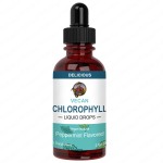 OEM Private Label Organic Lymphatic Cleanse Liquid Drops Adult Applicable Plant Extract with Custom Label