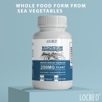 Hot Selling Magnesium Capsules for Adults Bone and Muscle Health Cognitive Function Energy Muscles Metabolism Supplements