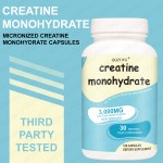 OEM Creatine Monohydrate Capsules Pre-Workout Muscle Size Strength Supplements Herbal Sports Nutrition Product for Adults