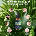 OEM Private Label Liquid Seaweed Extract Drops Customizable Plant Extract Product
