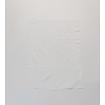 Cleaning Wipes Factory - Wood Furniture Orange