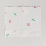 面巾纸工厂-FSC认证亲肤面部清洁