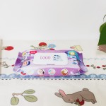 清洁湿巾生产厂家-50片天然消毒超值