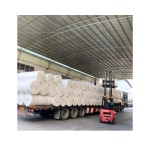 卫生纸生产厂家-厂家原生母卷面巾纸