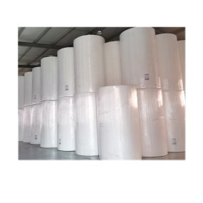 Toilet Paper Factory - Big Roll Raw Material Bamboo