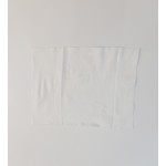 消毒湿巾生产厂家-批发湿式消毒健身房