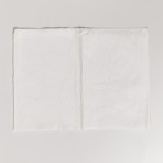 Facial Tissue Manufacturer - FSC Portable No Bleach