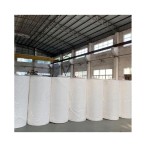 卫生纸工厂-大卷原料竹浆纸巾母卷