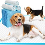 Pet Training Pads Factory - China Wholesale 60x60cm