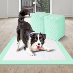 Pet Pads Manufacturer - Wholesale 60x90 Free Sample