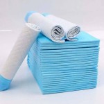 Pet Pads Supplier - Factory Customized 50pcs Car