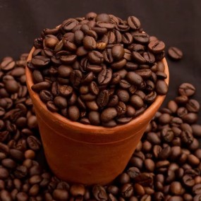 Coffee Beans Supplier - 100% Organic Arabica