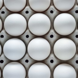 食用蛋工厂-农场新鲜棕白蛋孵化用盒装