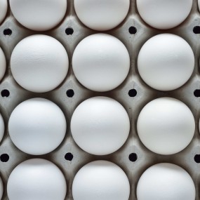 食用蛋工厂-农场新鲜棕白蛋孵化用盒装