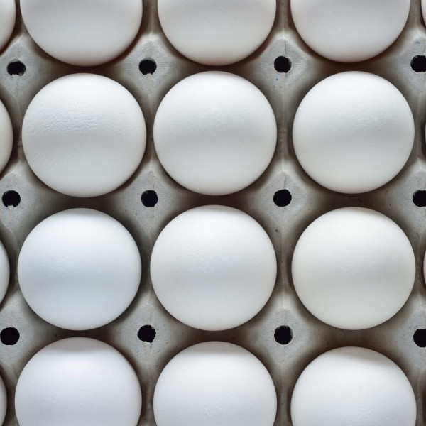 食用蛋工厂-农场新鲜棕白蛋孵化用盒装