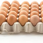 食用蛋工厂-新鲜食用蛋农场多尺寸