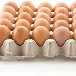 食用蛋工厂-新鲜食用蛋农场多尺寸