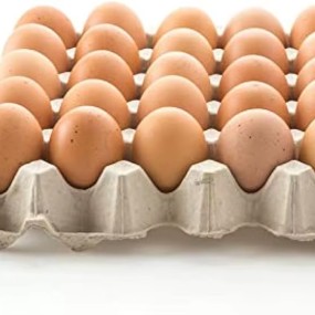 食用蛋工厂-新鲜食用蛋农场多尺寸