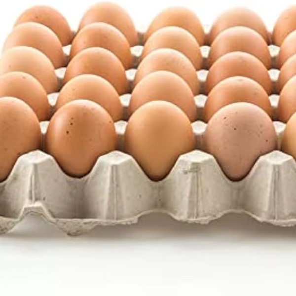 食用蛋工厂-新鲜食用蛋农场多尺寸