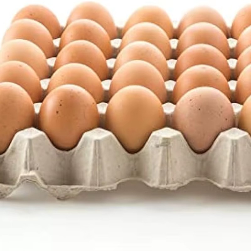 食用蛋工厂-新鲜食用蛋农场多尺寸