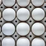 鸡蛋供应商-实惠价农场新鲜白壳有机蛋