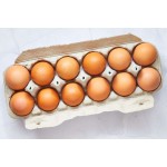 食用蛋工厂-新鲜食用蛋农场多尺寸