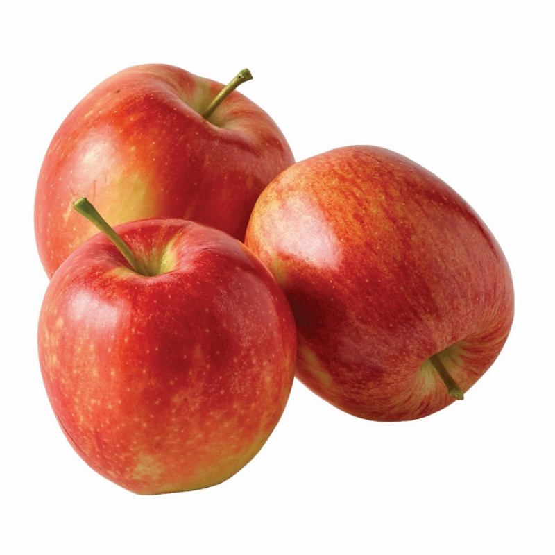 Apples Supplier - High Quality Fuji Gala 42g