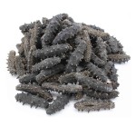 Sea Cucumber Factory - High Quality Dried