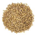 Barley Manufacturer - Foods Compositional Grains