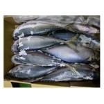 Seafood Manufacturer - Wholesale Premium IQF