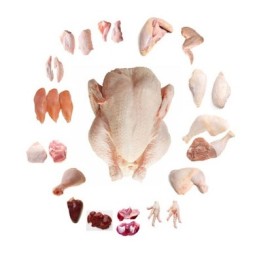 Chicken Supplier - Halal Frozen Whole Chicken