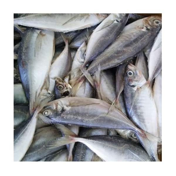 Seafood Manufacturer - Wholesale Premium IQF