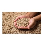 Wood Pellets Factory - Wholesale Cheap Price