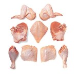 Chicken Supplier - Halal Frozen Whole Chicken