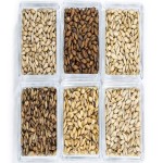 Barley Manufacturer - Premium Grade Organic