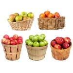 Apples Manufacturer - Top Quality Granny Smith