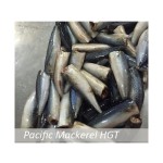 Fish Manufacturer - BQF IQF Whole Frozen