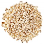 Barley Manufacturer - Foods Compositional Grains