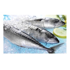 Fish Factory - Organic Frozen Pacific Mackerel
