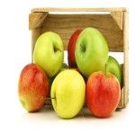 Apples Manufacturer - Top Quality Granny Smith